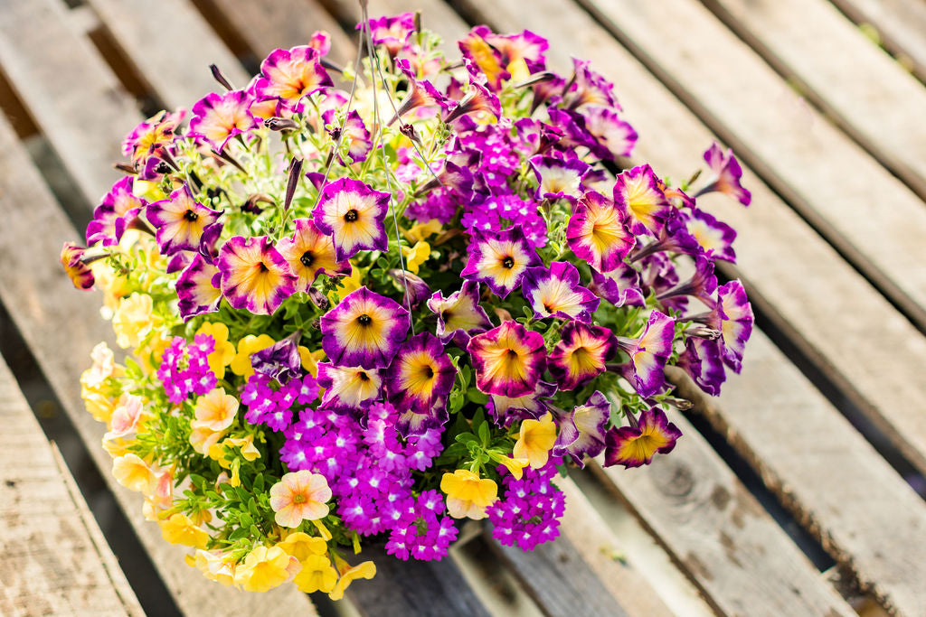 12” Purple and Yellow Basket