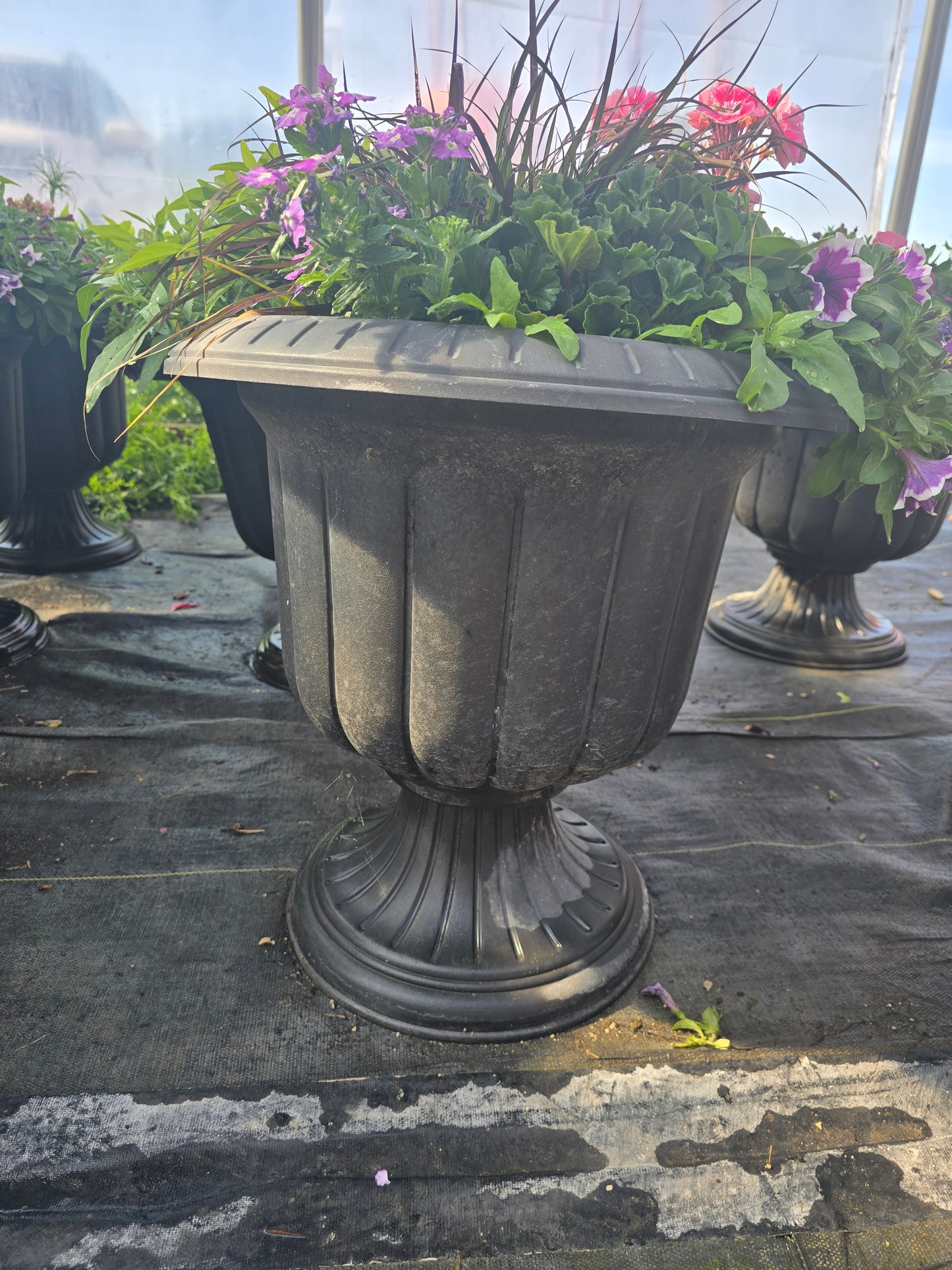 Urn
