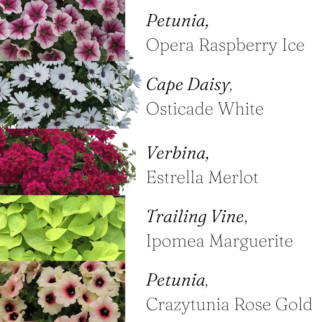 14" Pink, White, and Red Hanging Basket