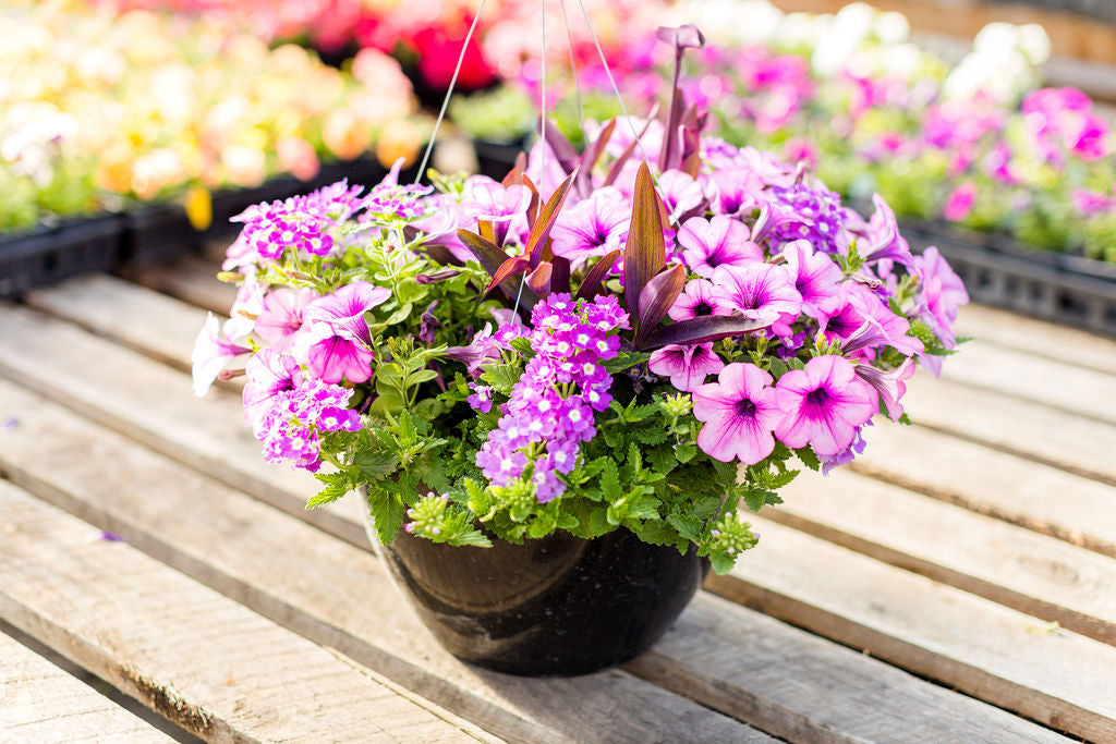 12” Purple and Pink Basket