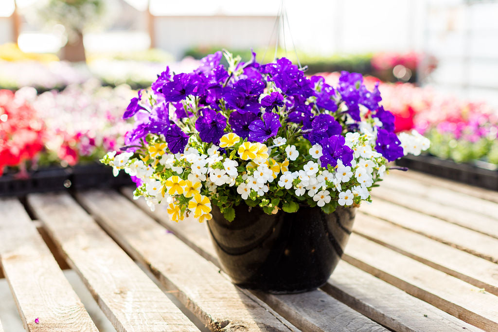 12” Blue, White, and Yellow Basket