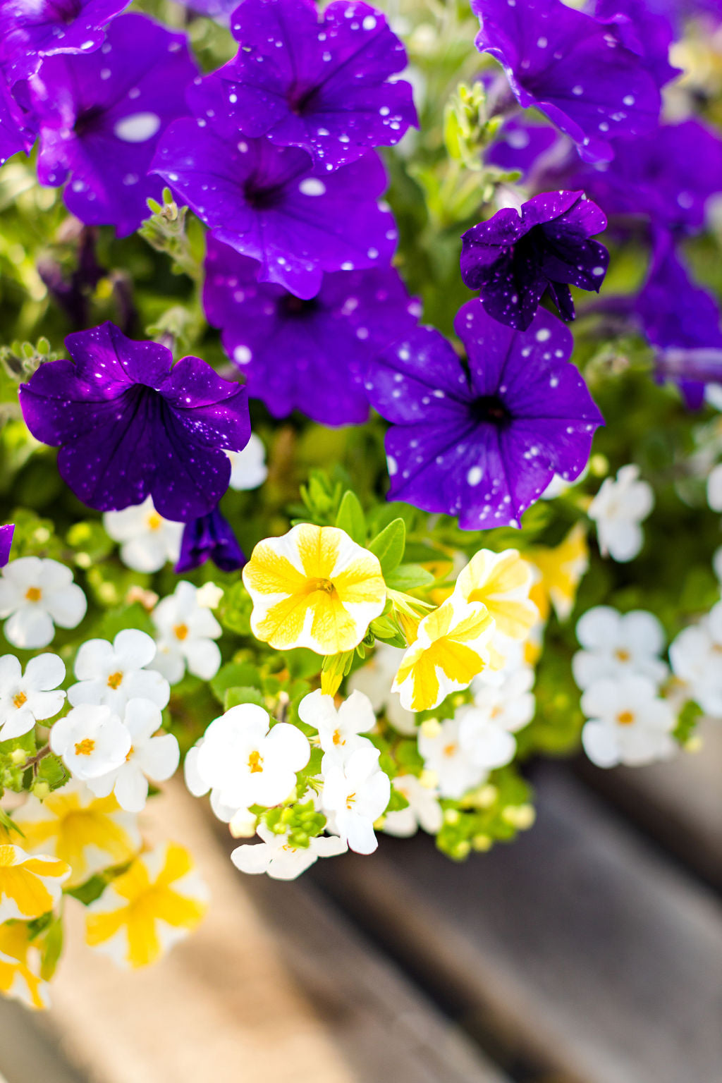 12” Blue, White, and Yellow Basket