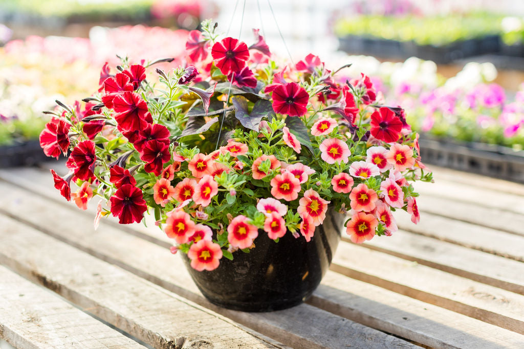 12” Red and Yellow Basket