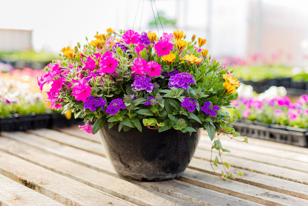 14” Pink, Yellow, and Purple Basket