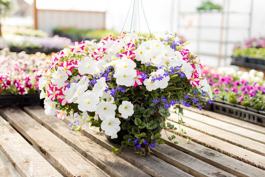 14” Pink, White, and Blue Basket