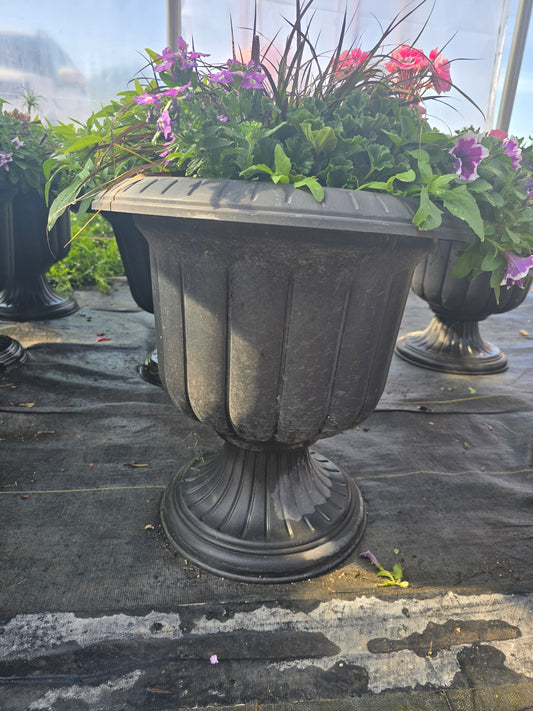 Urn